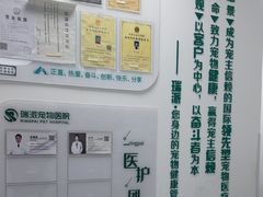 -瑞派长江宠物医院·猫科·外科·24小时夜护(谊城公寓分院)
