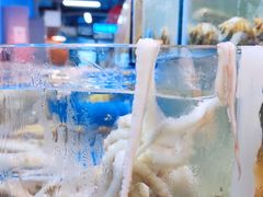 -渔人湾码头海鲜市场负二楼