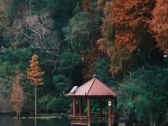 -梅州天地人花园酒店(梅县人民广场店)