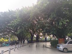 -黄埔古港