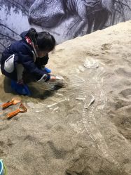 -恐龙探索乐园(磁器口店)