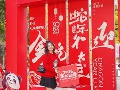 -灵玲国际马戏城