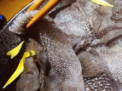 -王家渡火锅店(棕榈泉店)