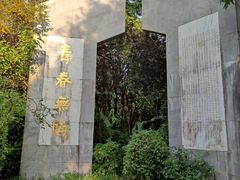 -东平国家森林公园