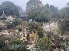 -万景茶庄·台州菜