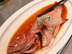 清蒸东星斑-上海老饭店(豫园店)