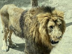 -北京野生动物园