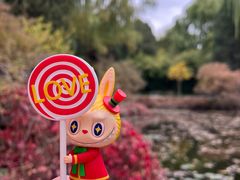 -三忘湖 SWANSEEN(柳荫公园店)