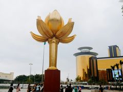 -金莲花广场