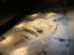 -侵华日军南京大屠杀遇难同胞纪念馆