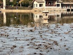-团结湖公园