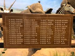 -陕西自然博物馆