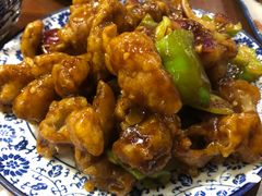 焦溜肥肠-娄三少·老北京春饼烤鸭家常菜(方庄店)