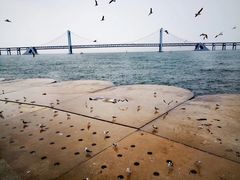 -星海湾跨海大桥