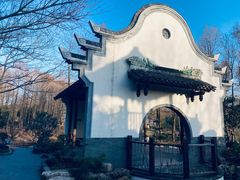 -东平国家森林公园