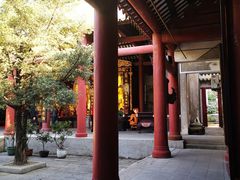 -芦苞胥江祖庙
