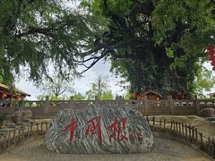 -大槐树寻根祭祖园