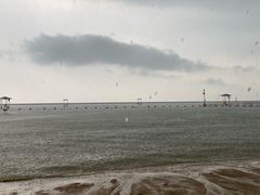 -碧海金沙