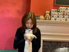 -猫色咖啡·猫咖