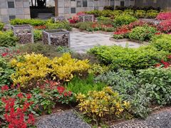 -润园四季椰子鸡火锅(南山海岸城店)