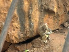 -昆明动物园