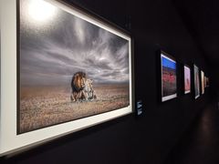 -罗红摄影艺术馆