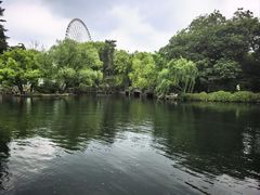 -无锡蠡湖国家湿地公园-蠡园