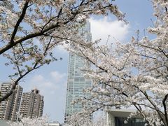 -静安雕塑公园