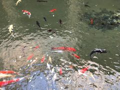 -顺景温泉
