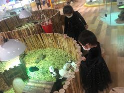 -七巧国萌宠乐园(龙湖天街店)