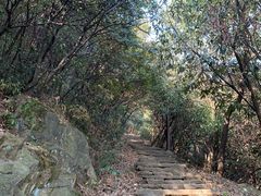 -杭州半山国家森林公园