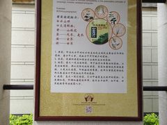 -广州神农草堂中医药博物馆