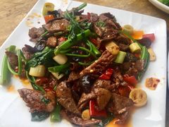 -灯盏窝饭店(新都分店)