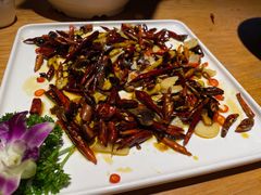 -滇铺子·云南特色菜·第九届野生菌美食节(东风东路c86店)