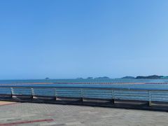 -野狸岛