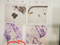 -青石桥花鸟鱼虫市场(叠翠城店)