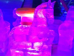 -哈尔滨热雪奇迹
