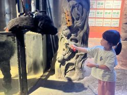 -酷嗒动物文化乐园(cutezoo西溪乐天城店)