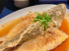 豉油糖东海黄鱼-南乡·广东顺德菜(苏宁广场B区店)