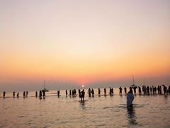 -晓伟海鲜家常菜