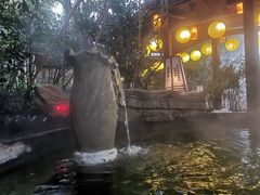 -杭州第一世界大酒店·云曼温泉