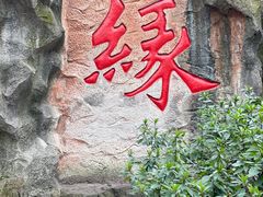 -杭州黄龙洞