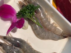 -阿古蒙·传统涮火锅自助(三台子万象汇店)