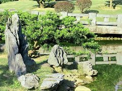 -深圳仙湖植物园