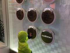 -乐天免税店(明洞店)