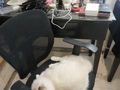-猫遇摄影工作室