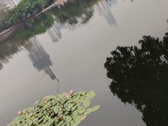 -荔枝公园(福田区)