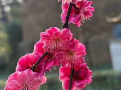 -西安曲江寒窑遗址公园