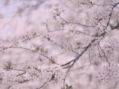 -上海辰山植物园