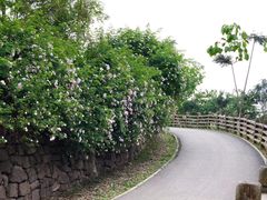 -白鹭湾湿地公园